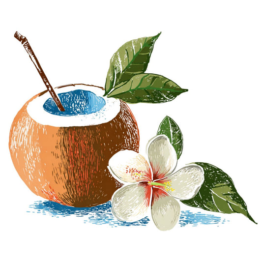 Bouteille isotherme "COCONUT" - 500ml - Blanc