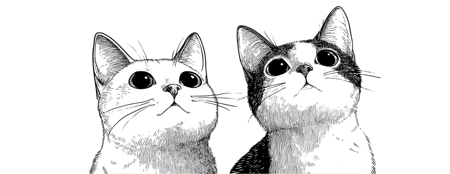 Mug Chat "CATS IN BLACK AND WHITE" - Blanc / Noir