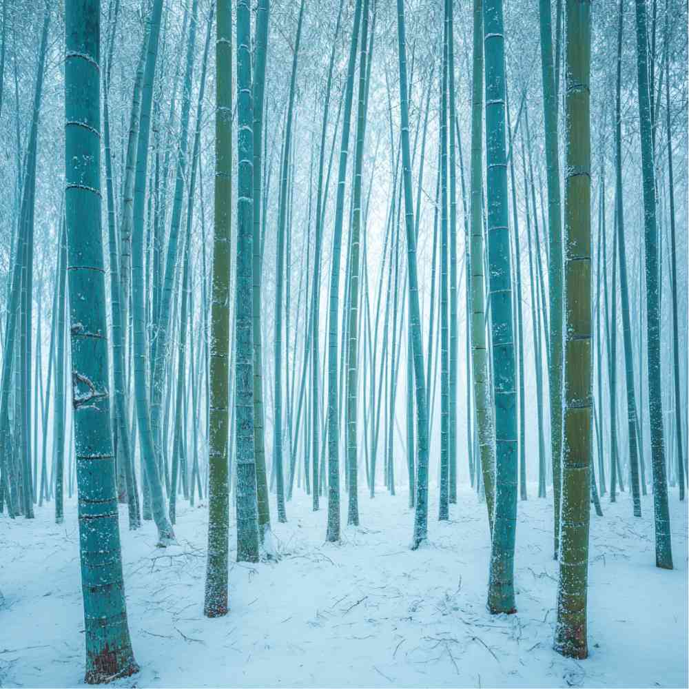 Sac Shopping Léger "FORÊT DE BAMBOUS EN HIVER"