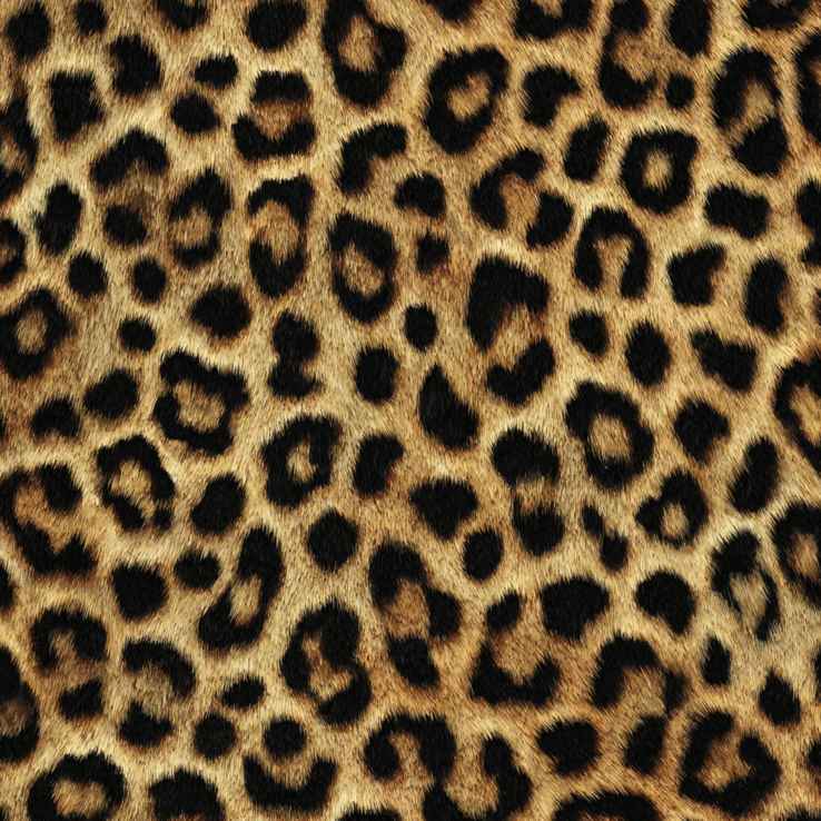 Tote Bag Shopping "IMPRIMÉ LÉOPARD"